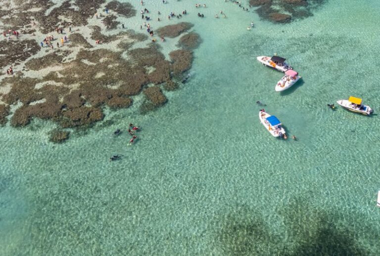 Paquete a Maragogi desde Bs. As.