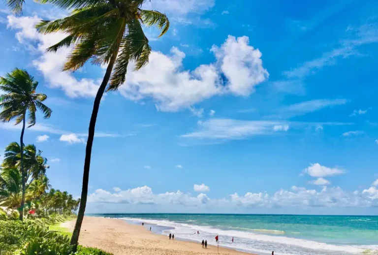 Paquete a Praia do Forte desde Rosario