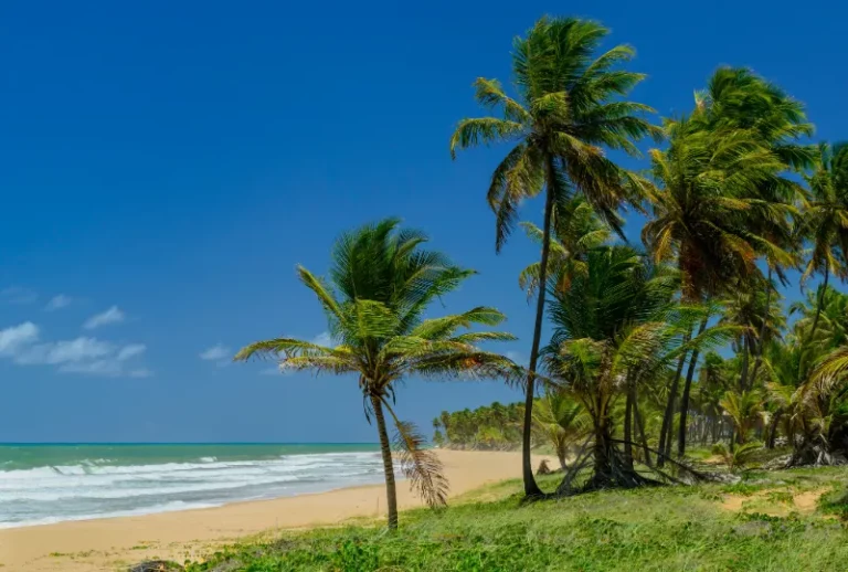 Paquete a Imbassaí desde Bs. As.