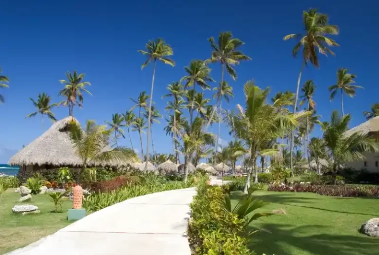 Paquete a Punta Cana desde Tucumán