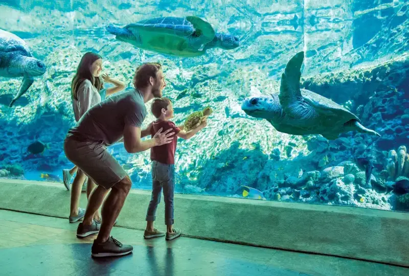 Unites Parks (SeaWorld, Busch Gardens y Aquatica) – Promo Black Friday