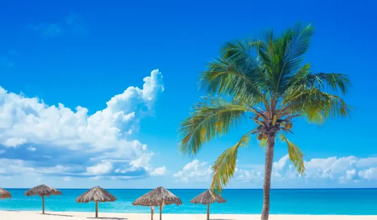 Las Playas de Curazao: Un Paraíso Tropical para Todos