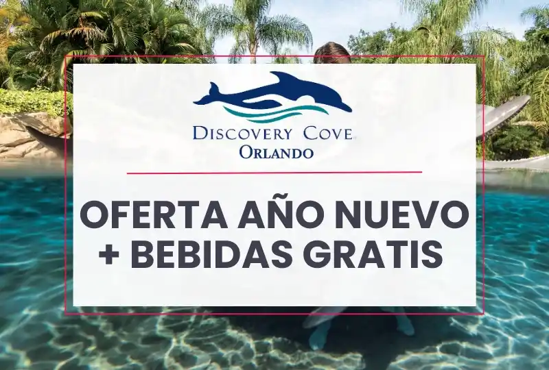 discovery cove