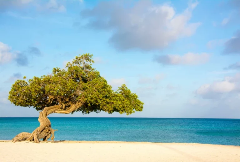 Paquete Aruba desde Buenos Aires con Auto
