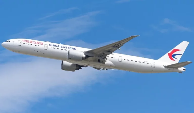 Requisitos de viaje para pasajeros EZE–AKL–PVG