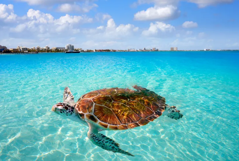 Paquete a Cancún desde Salta