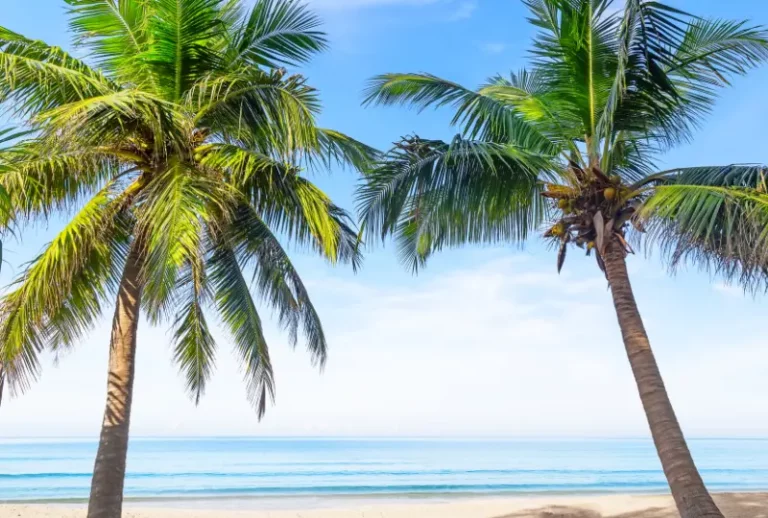 Paquete a Punta Cana desde Bs. As.