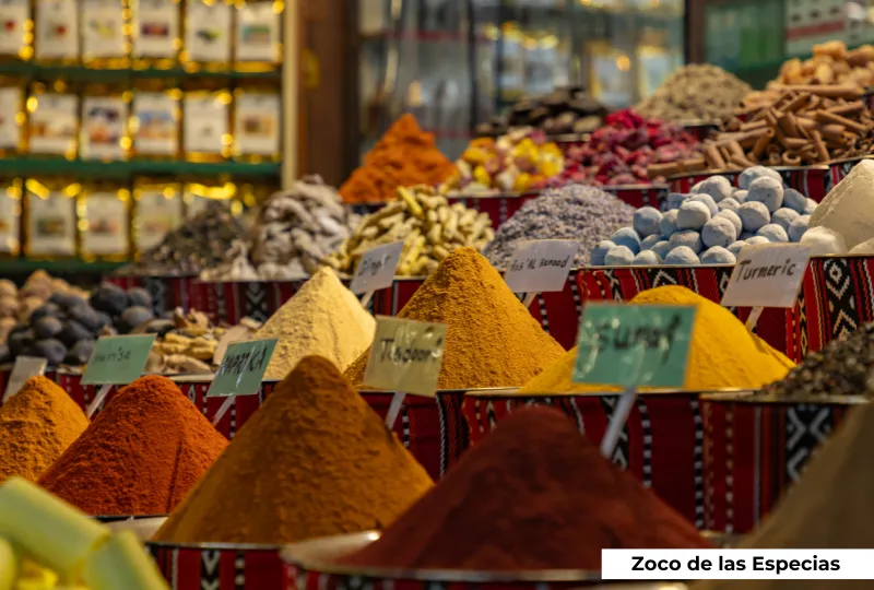 Dubái y Egipto con Mar Rojo - Entre Pirámides y Rascacielos - Imagen 10