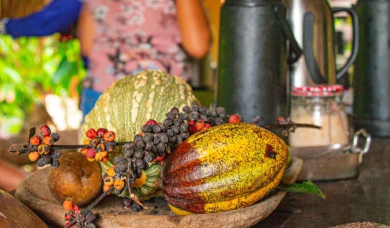 Viva Miches by Wyndham: experiencias irresistibles con cacao en el corazón de República Dominicana