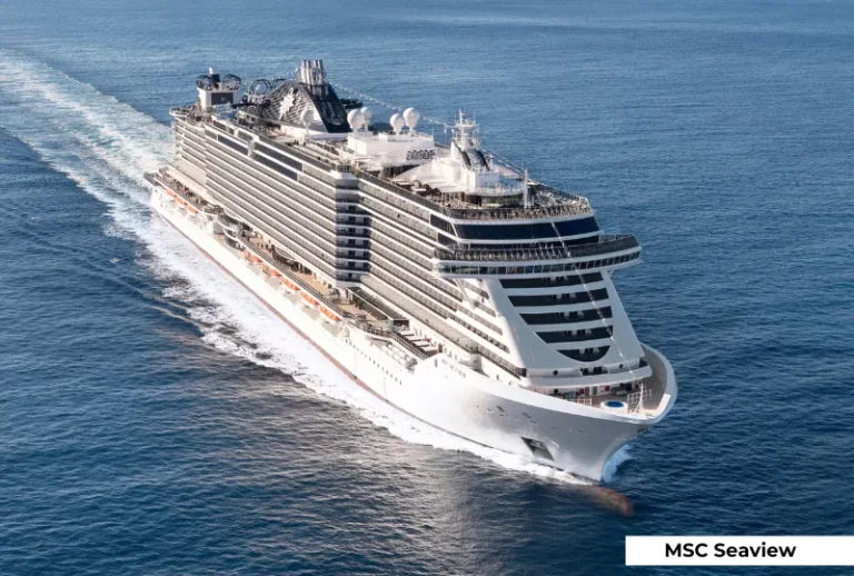 Brasil desde Bs As en el MSC Seaview