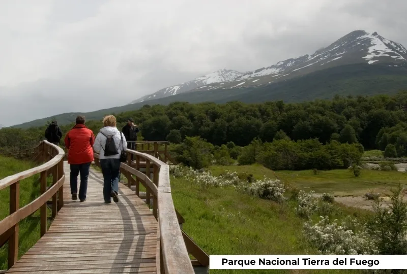 Crucero Antártida & Islas Malvinas - Imagen 21
